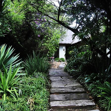 Birch Tree Cottage Johannesburg Exterior foto