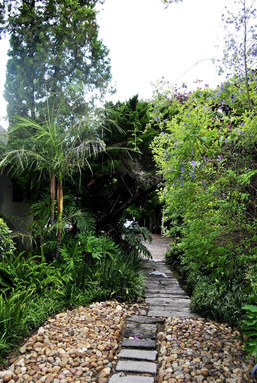 Birch Tree Cottage Johannesburg Exterior foto